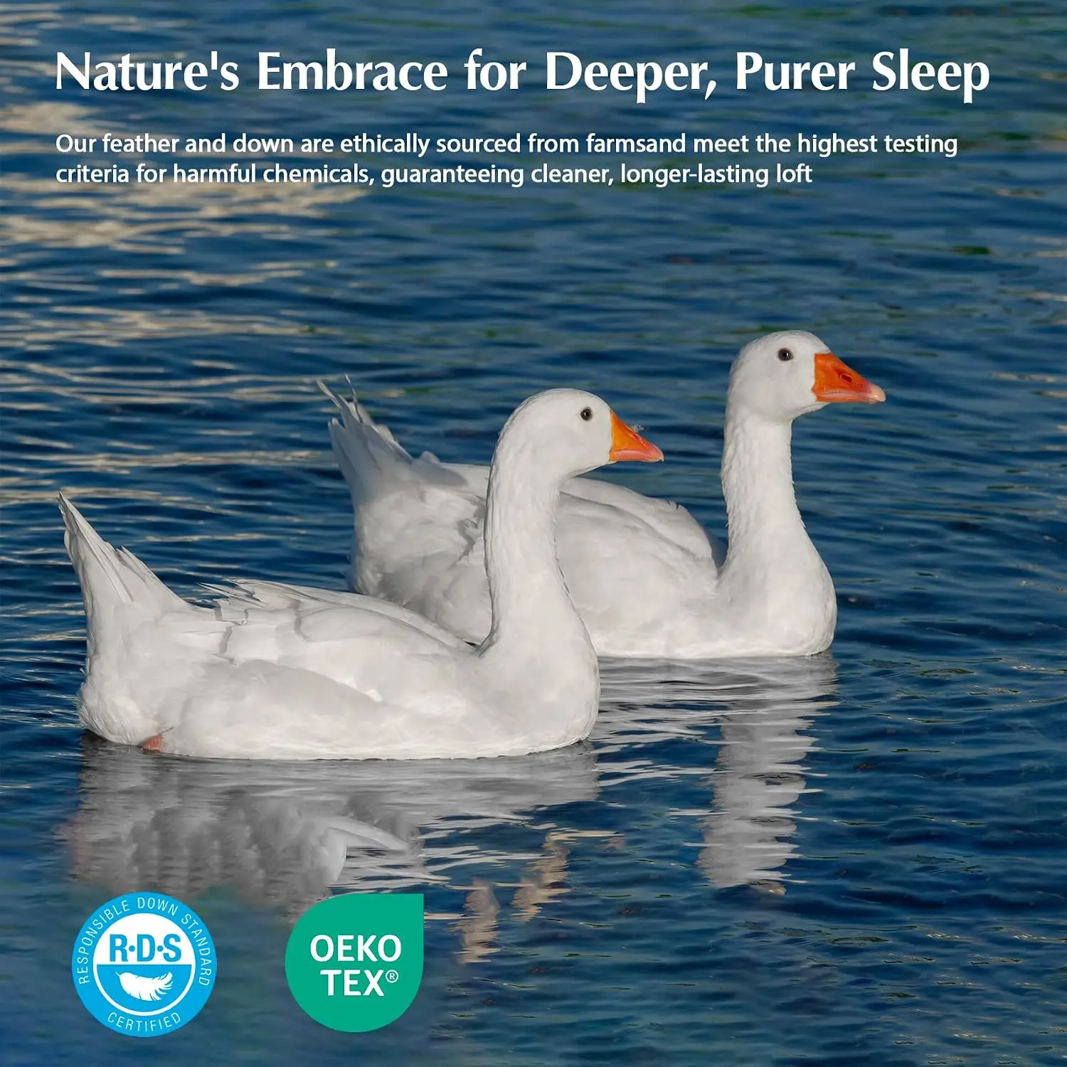 Goose Feather Down Fiber Comfo - đánh giá và giá Duvet Insert White
