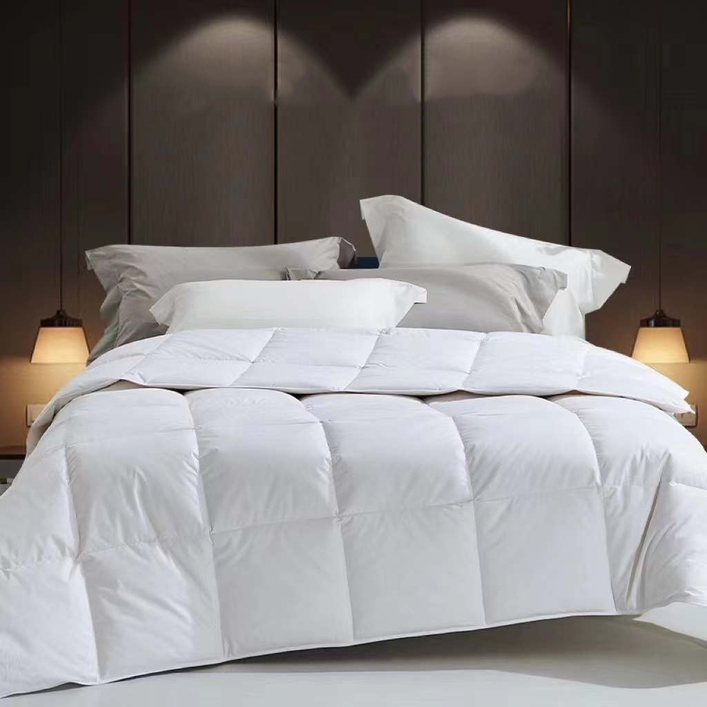 Lightweight Down Comforter Whi - đánh giá và giá Duvet Insert White