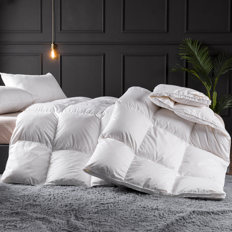 Sang Trọng Chăn Ga Gối Thoải M - đánh giá và giá Duvet Insert White