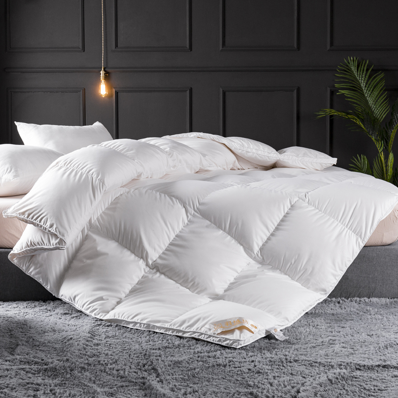 Sang Trọng Chăn Ga Gối Thoải M - đánh giá và giá Duvet Insert White