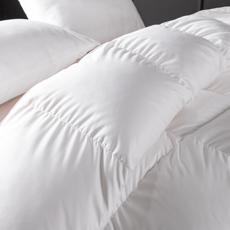 Sang Trọng Chăn Ga Gối Thoải M - đánh giá và giá Duvet Insert White