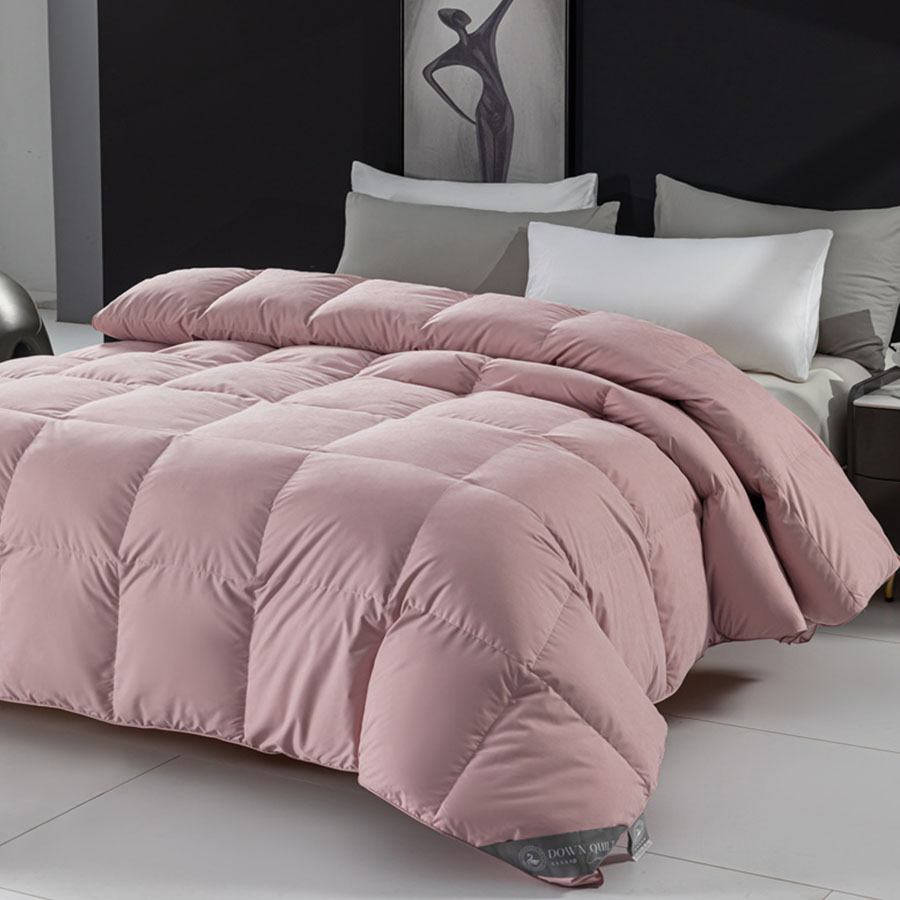 New 2026 White Goose Down Comf - đánh giá và giá Duvet Insert White