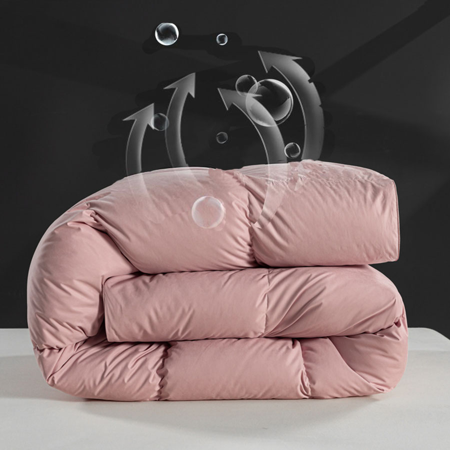 New 2026 White Goose Down Comf - đánh giá và giá Duvet Insert White